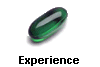 Experience