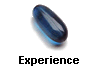 Experience